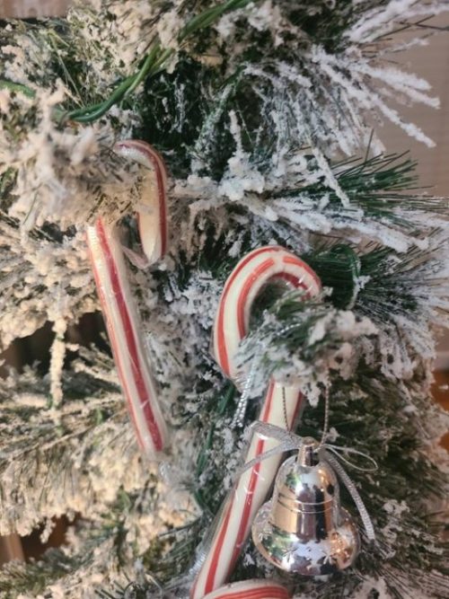 The curious candy cane