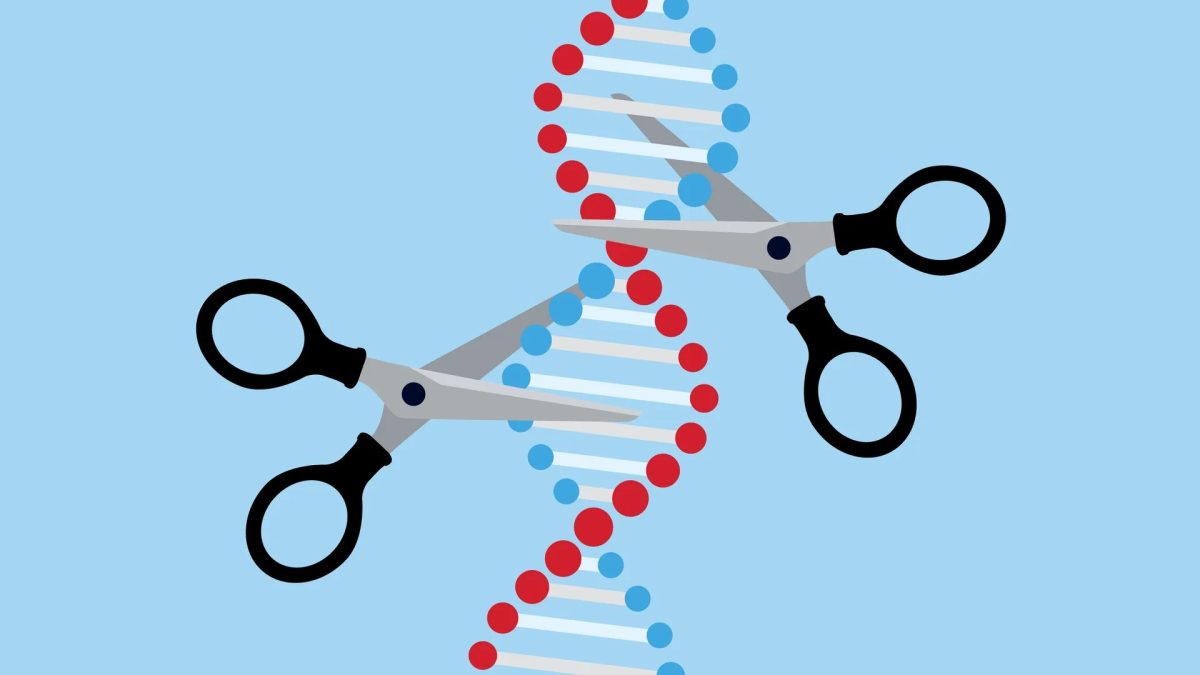 DNA’s magic scissors:
