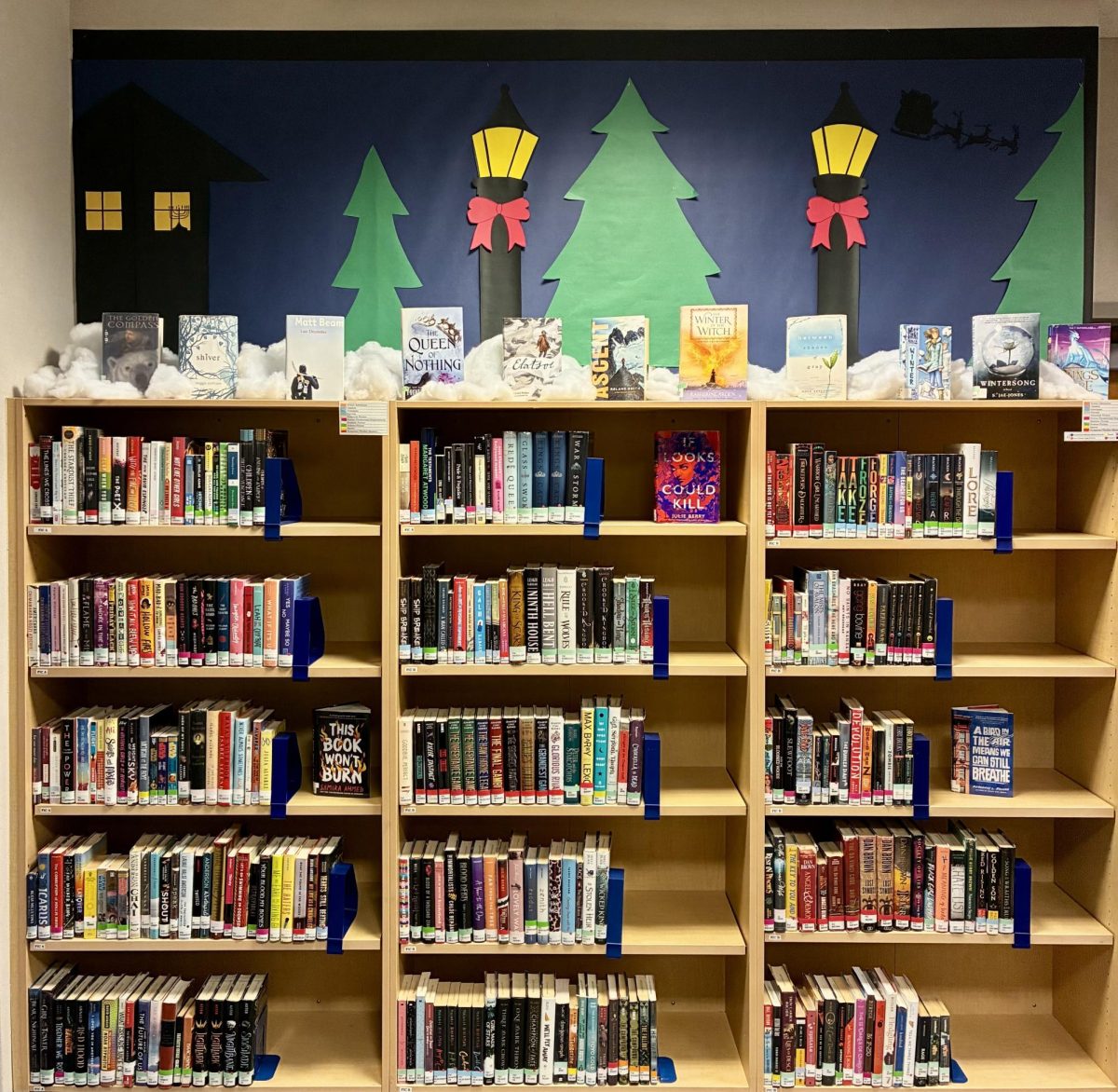 How the library works