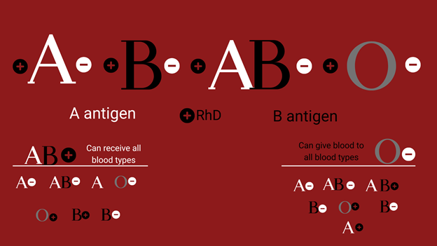 What are blood types?